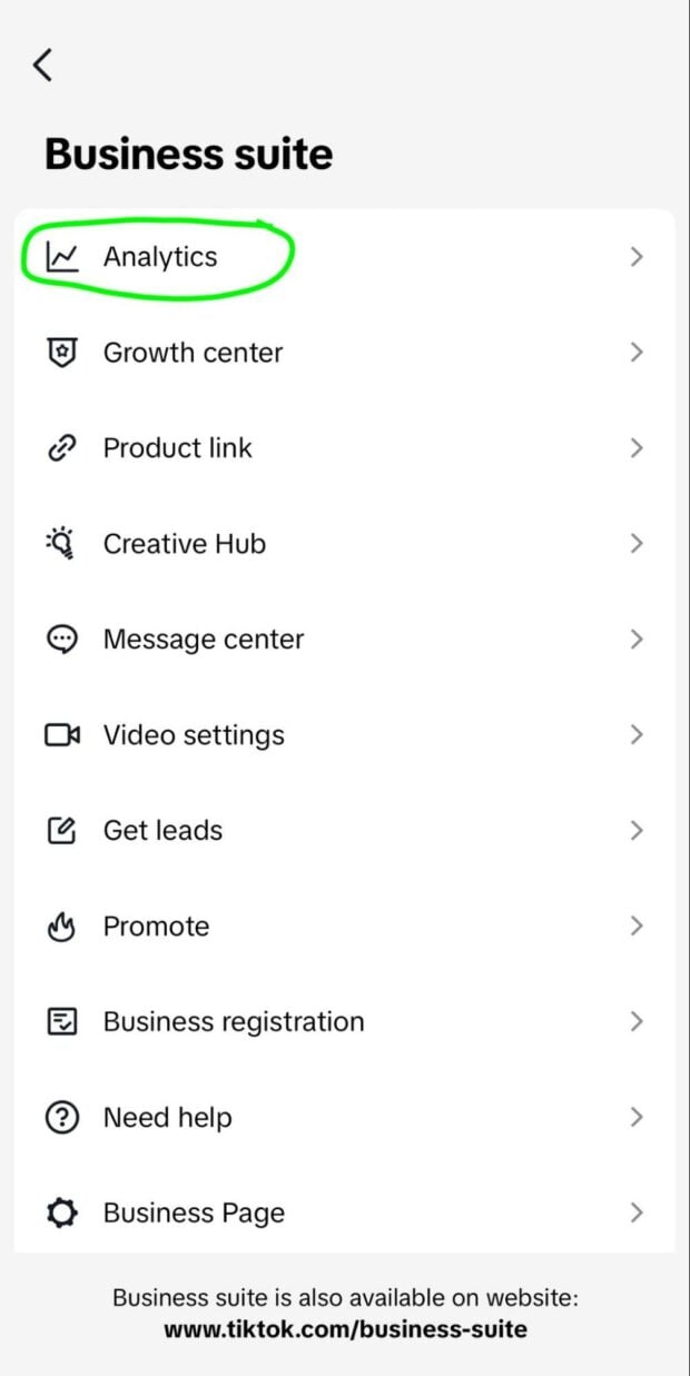 Business suite Analytics option